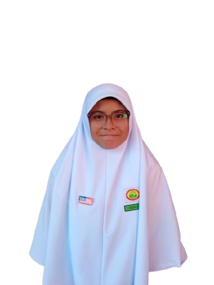 Naib Bendahari
